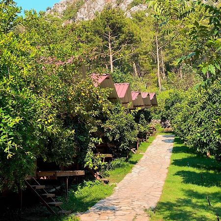 Olympos Camlik Pension Eksteriør bilde