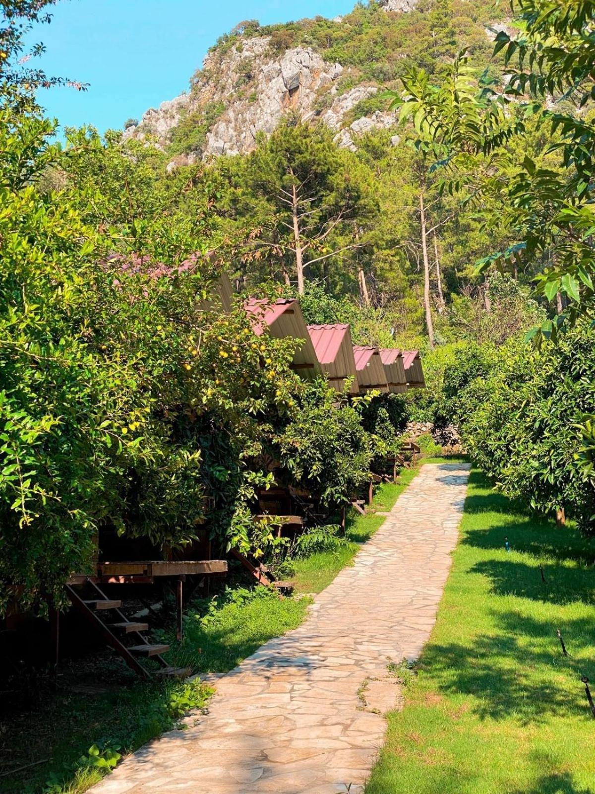 Olympos Camlik Pension Eksteriør bilde