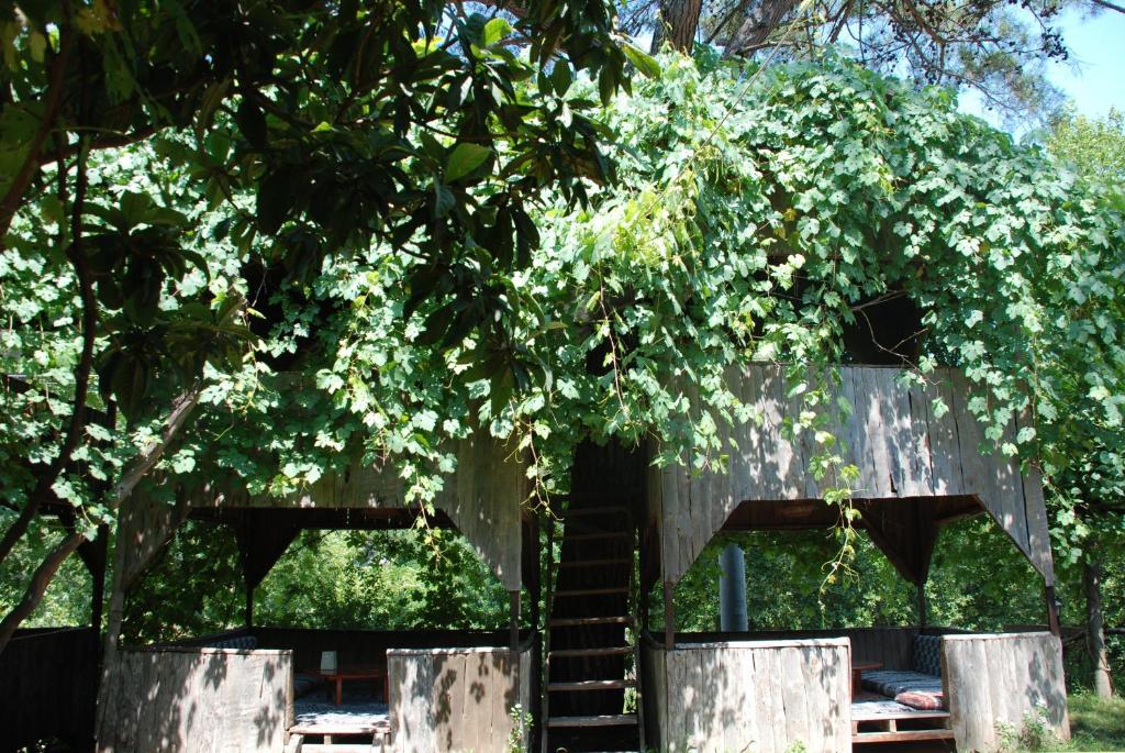 Olympos Camlik Pension Eksteriør bilde