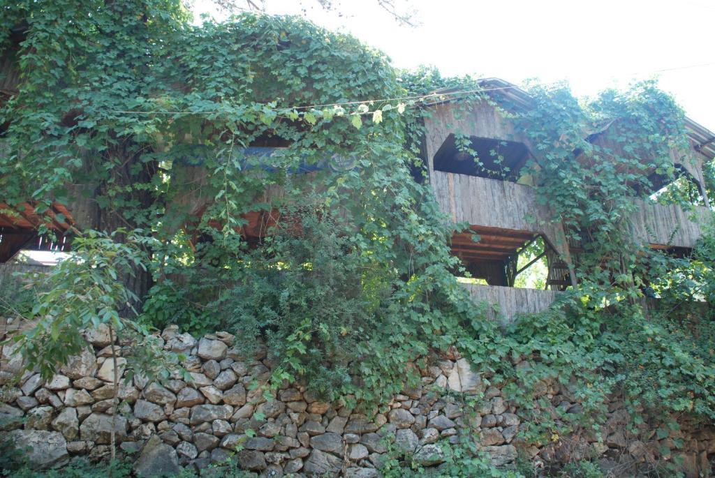 Olympos Camlik Pension Eksteriør bilde